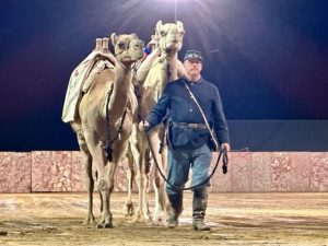 History of Camels in North America - North American Camel Ranch Owners ...