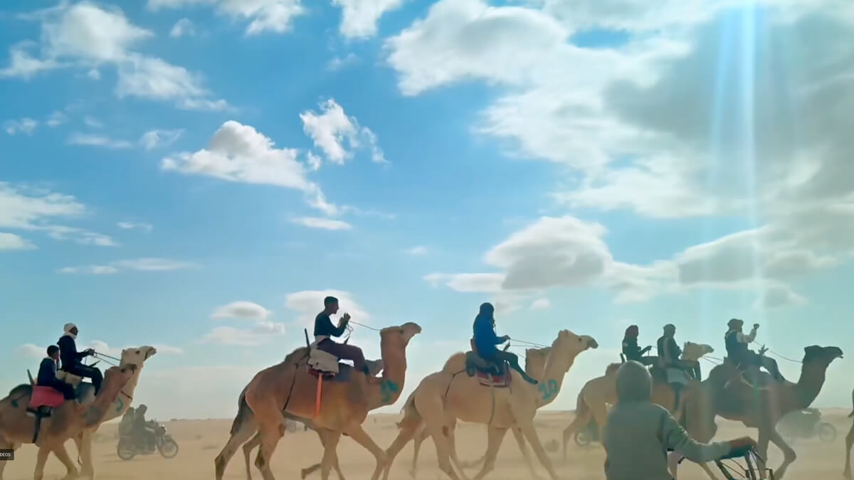 Camel Marathon in Douz, Tunisia - North American Camel Ranch Owners ...