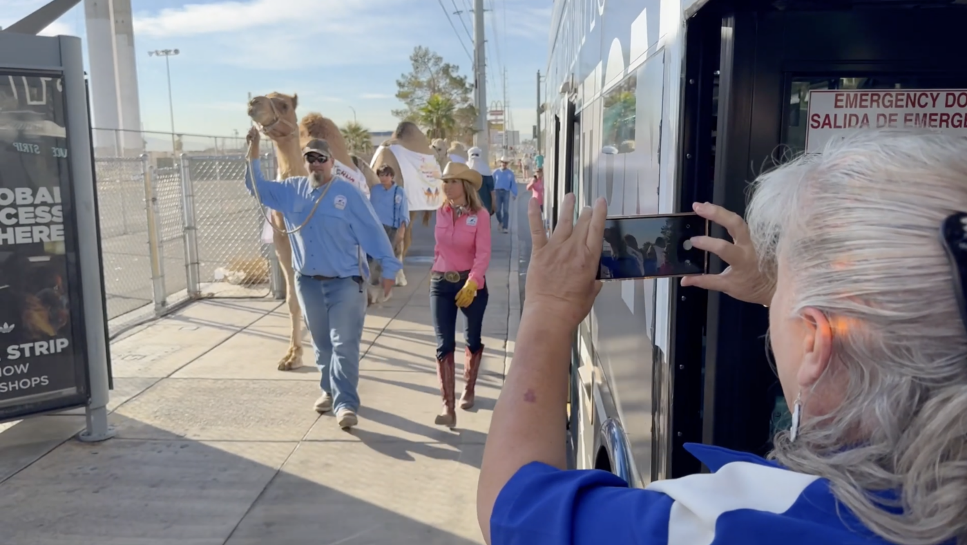 Camel Parade in Las Vegas - North American Camel Ranch Owners Association